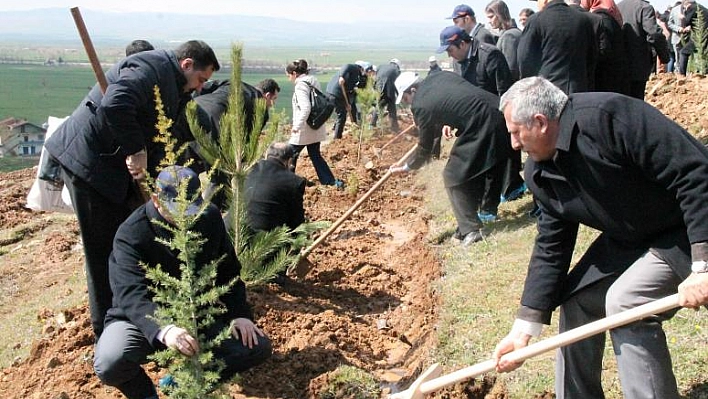 ELAZIĞ'DA 24 BİN FİDAN TOPRAKLA BULUŞTU