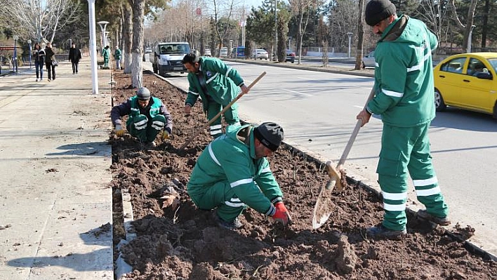 16 Bin Adet Meilland Gül Dikimine Başlandı 