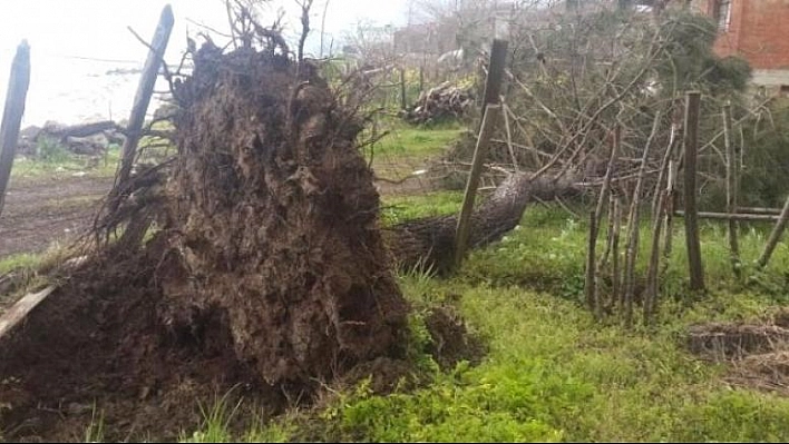 Meteorolojiden Kuvvetli Rüzgâr Uyarısı