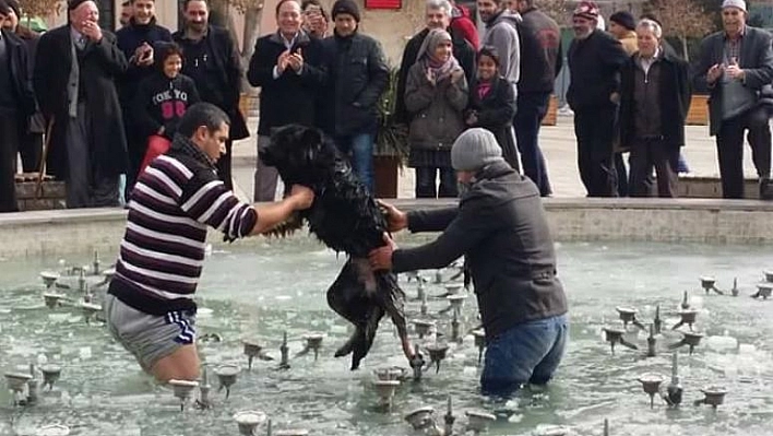 ELAZIĞ'DAN DÜNYA'YA İNSANLIK DERSİ