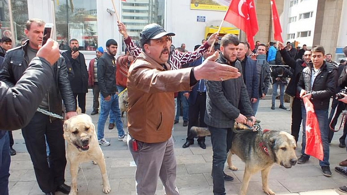 Hollanda Kangal Köpekleriyle Protesto Edildi ! 