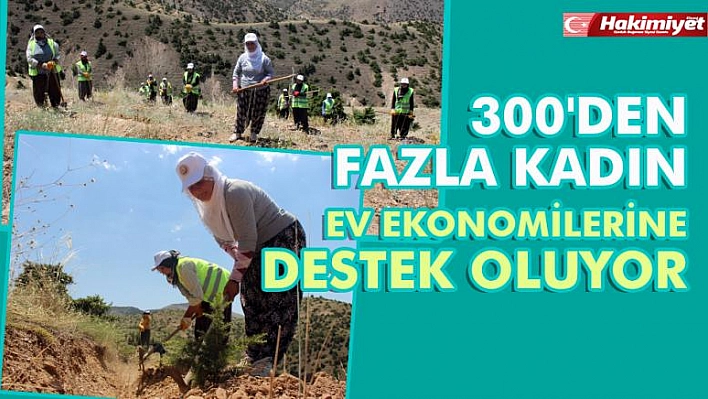 Kadınlar Fidanla Ev Ekonomilerine Destek Oluyor