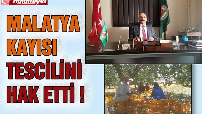 Malatya, kayısı tescilini  hak etti !