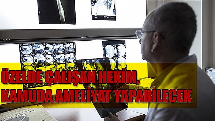 DOKTORLARA HEM KAMU HEM DE ÜNİVERSİTEDE ÇALIŞMA YOLU