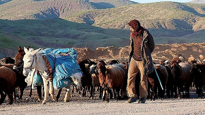 GÖÇERLERİN ASIRLARDIR SÜREN ÇİLELİ YOLCULUĞU