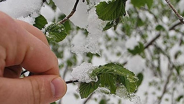 METEOROLOJİDEN 5 İL İÇİN DON UYARISI