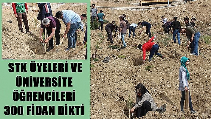 STK ÜYELERİ, CİP'E FİDAN DİKTİ