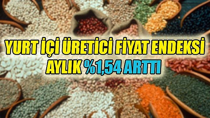 TÜFE'de aylık artış Yaklaşık Yüzde 1  Oldu 