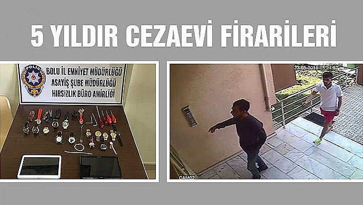 100'DEN FAZLA SUÇA KARIŞAN HIRSIZLAR YAKAYI ELE VERDİ