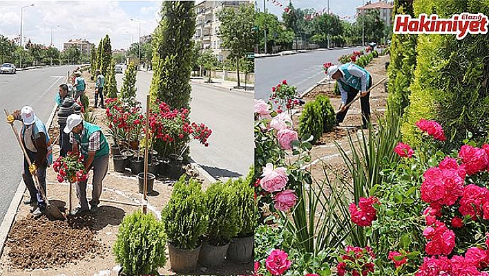 Elazığ'da Peyzaj Çalışmaları Devam Ediyor