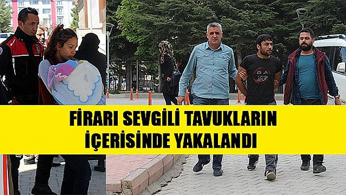 GASP TUZAĞININ FİRARİSİ, TAVUK ÇİFTLİĞİNDE YAKALANDI