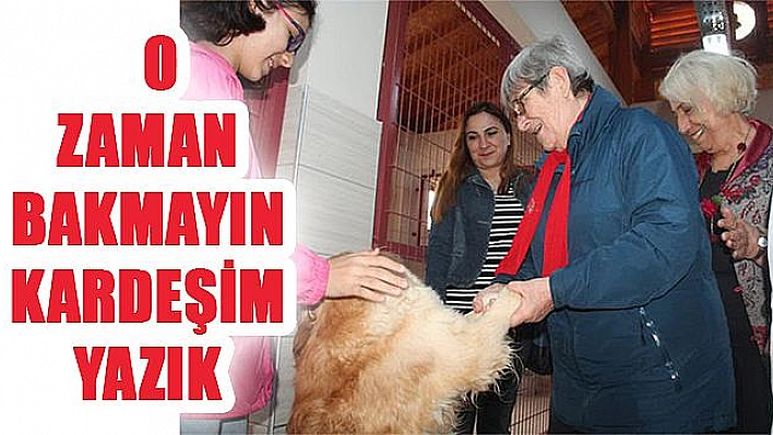 KISIRLAŞTIRIN!