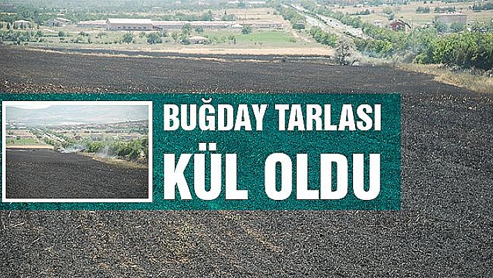 80 DÖNÜM BUĞDAY TARLASI KÜL OLDU