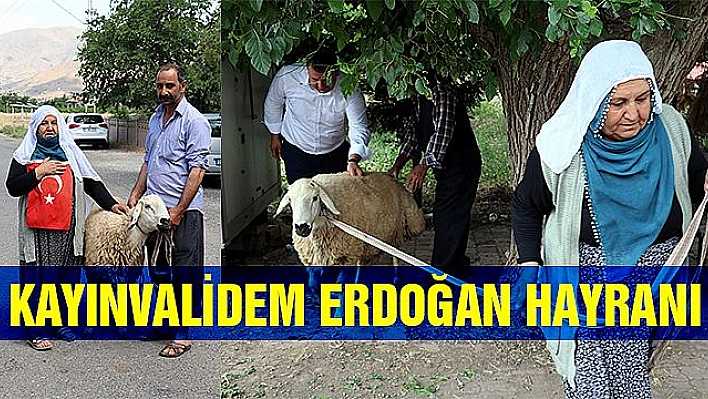 BAYRAM İKRAMİYESİYLE ALDIĞI KURBANI ERDOĞAN KAZANINCA KESTİ