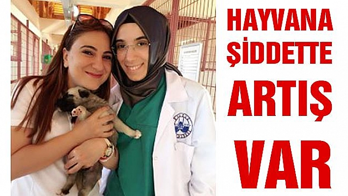 HAYVANA YÖNELİK ŞİDDET KABAHAT DEĞİL, SUÇTUR!