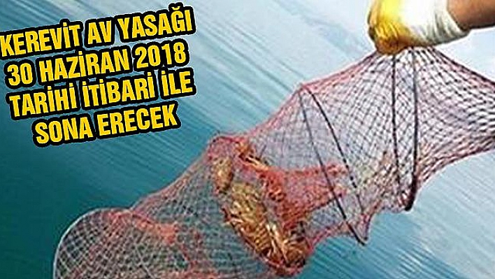 KEREVİT AV YASAĞI 30 HAZİRAN 2018 TARİHİNDE KALKIYOR