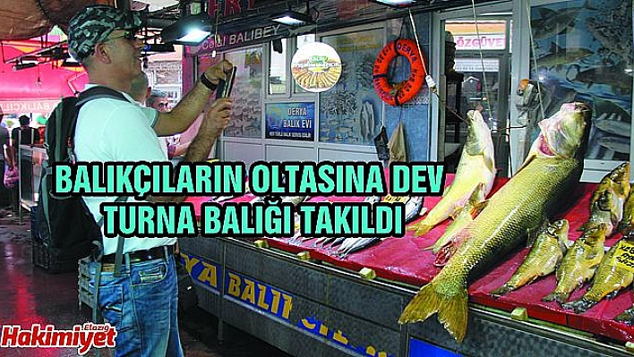 ELAZIĞ'DA SEZONUN İLK DEV TURNA BALIĞI YAKALANDI