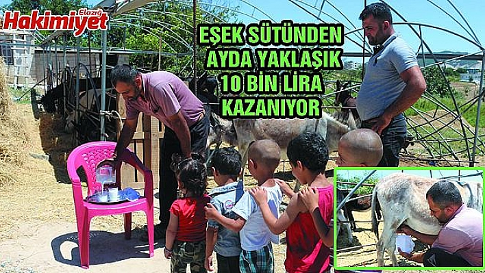 EŞEK SÜTÜ HEM ŞİFA HEM DE KAZANÇ SAĞLADI