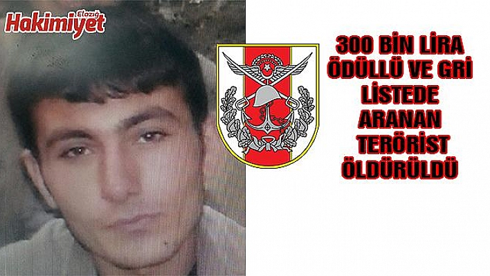 GRİ LİSTEDEKİ TERÖRİST ETKİSİZ HALE GETİRİLDİ
