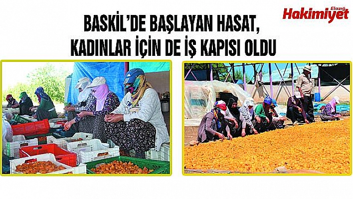 KAYISI, KADINLAR İÇİN İŞ KAPISI OLDU