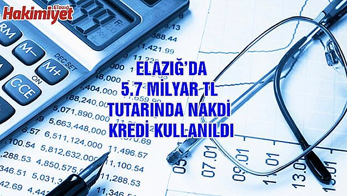 KREDİ PERFORMANSLARI AÇIKLANDI