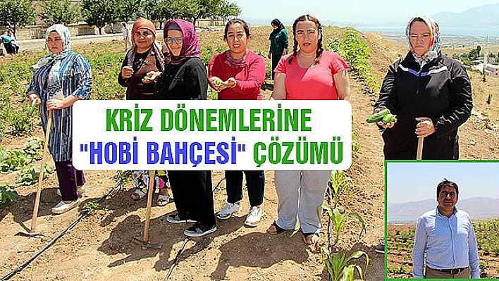 KRİZ DÖNEMLERİNİ 'HOBİ BAHÇESİ' İLE ATLATIYORLAR