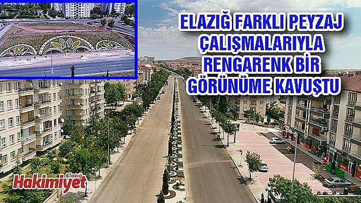 PEYZAJ ÇALIŞMALARIYLA ŞEHİR AYRI BİR GÜZEL