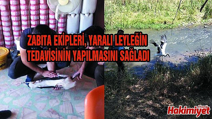 YARALI LEYLEK TEDAVİSİNİN ARDINDAN DOĞAL ORTAMA BIRAKILDI