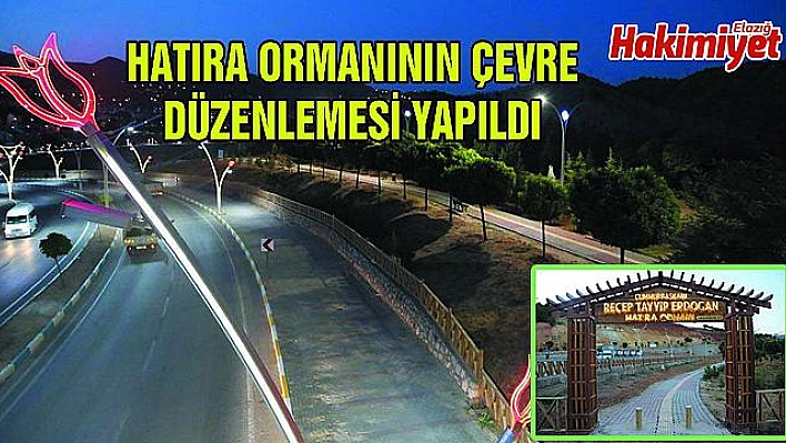 CUMHURBAŞKANI ERDOĞAN HATIRA ORMANI YENİLENDİ