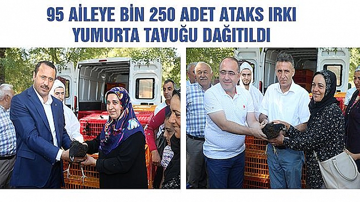 ELAZIĞ'DA 95 AİLEYE YUMURTA TAVUĞU HİBE EDİLDİ