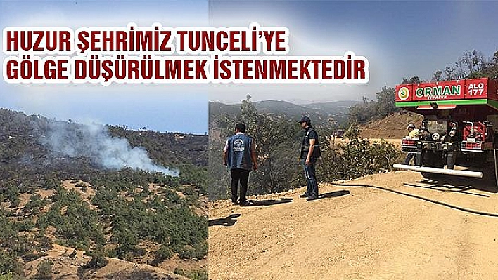 TUNCELİ'DE 'SAHTE FOTOĞRAFLARLA DERSİM YANIYOR' YALANI