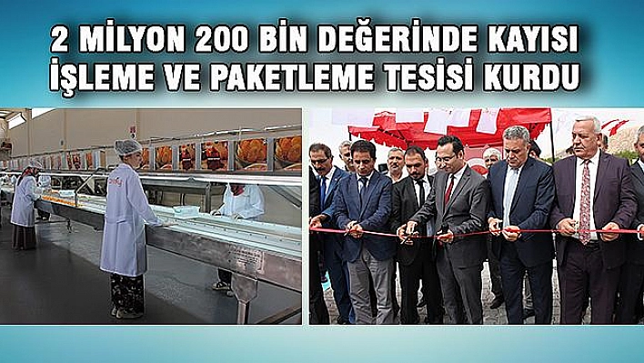 DEVLET DESTEĞİ İLE 2 MİLYON TL'LİK KAYISI TESİSİ KURDU