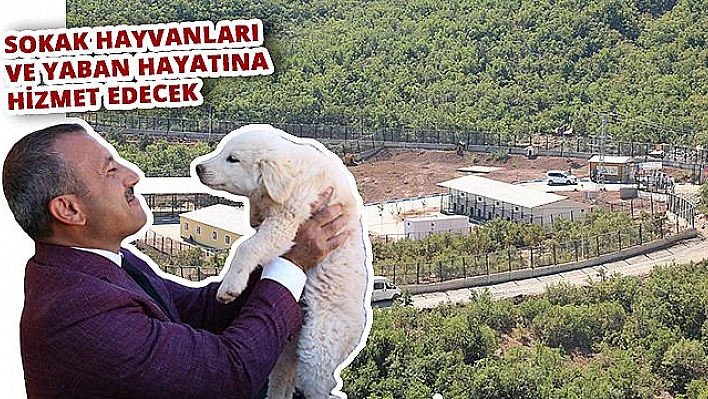  Türkiye'nin en işlevsel Hayvan Bakımevi Tunceli'de açıldı