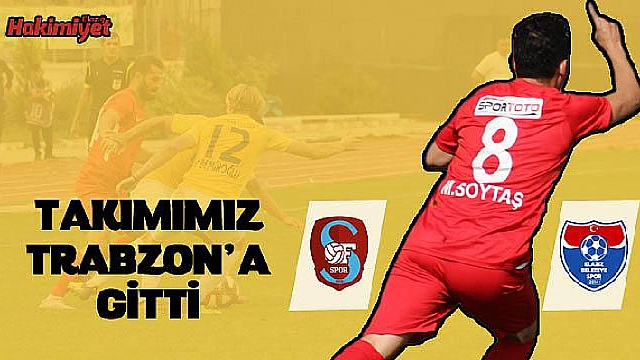 Belediye, Trabzon'da seri peşinde!