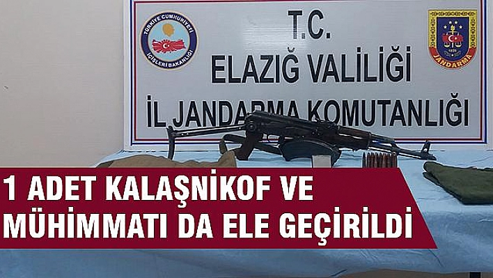 ELAZIĞ'DA 1 TERÖRİST SAĞ YAKALANDI