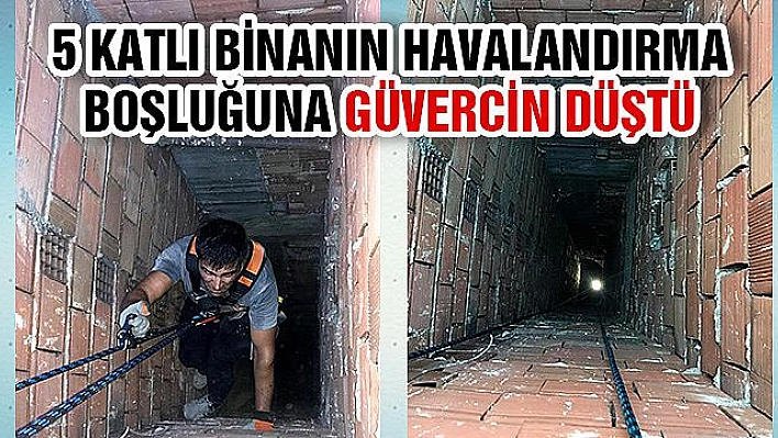 HAVALANDIRMA BOŞLUĞUNDA MAHSUR KALAN GÜVERCİNİ İTFAİYE EKİPLERİ KURTARDI