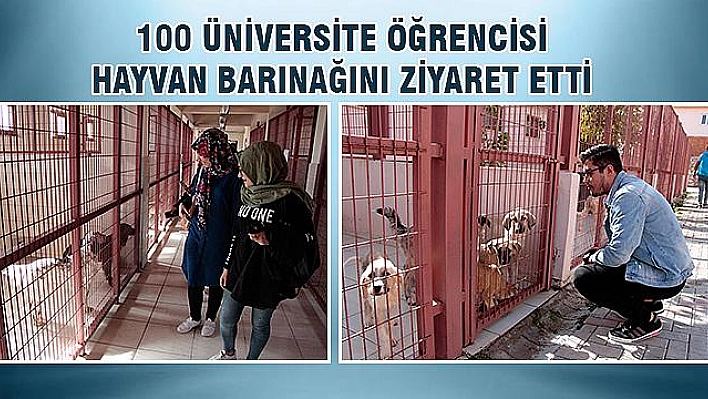 HAYVANLATI KORUMA GÜNÜNDE BARINAĞI ZİYARET ETTİLER