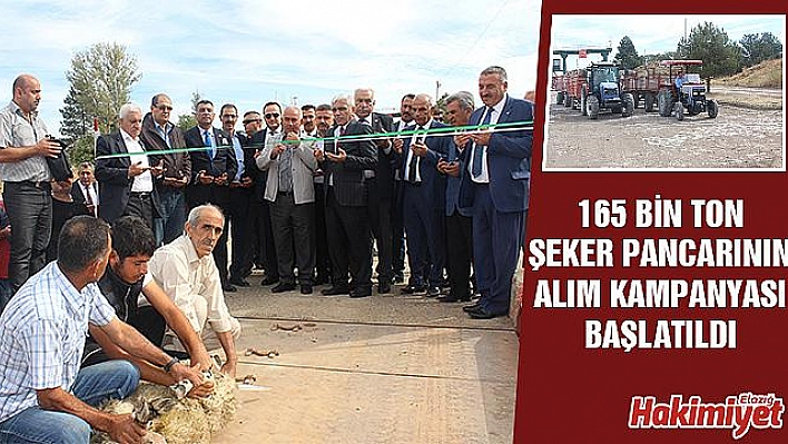 PANCAR ALIM KAMPANYASI BAŞLADI