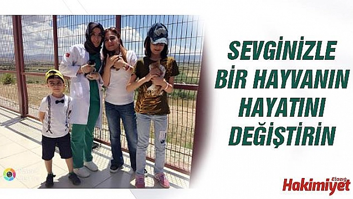 SEVGİNİZLE BİR HAYVANIN HAYATINI DEĞİŞTİRİN