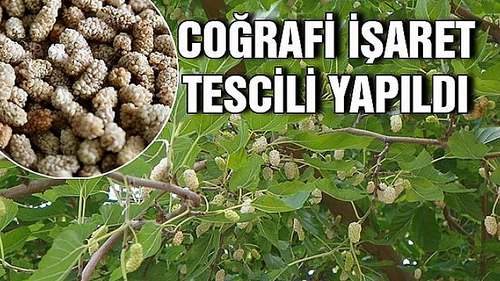 ULUKALE DUTU TESCİLLENDİ