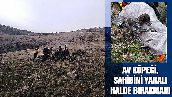 AV KÖPEĞİ, AYAĞI KIRILAN SAHİBİNİ BIRAKMADI