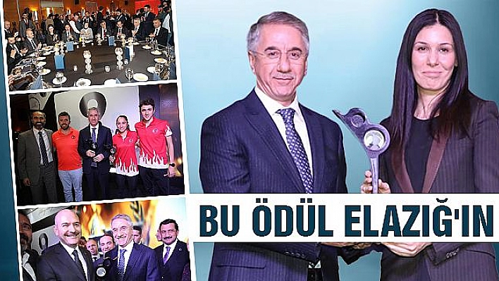 AZİM+KARARLILIK+BAŞARIÖDÜL