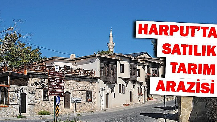  Harput'ta satılık tarım arazisi