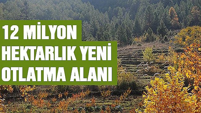 HAYVAN YETİŞTİRİCİSİNE 12 MİLYON HEKTARLIK YENİ OTLATMA ALANI