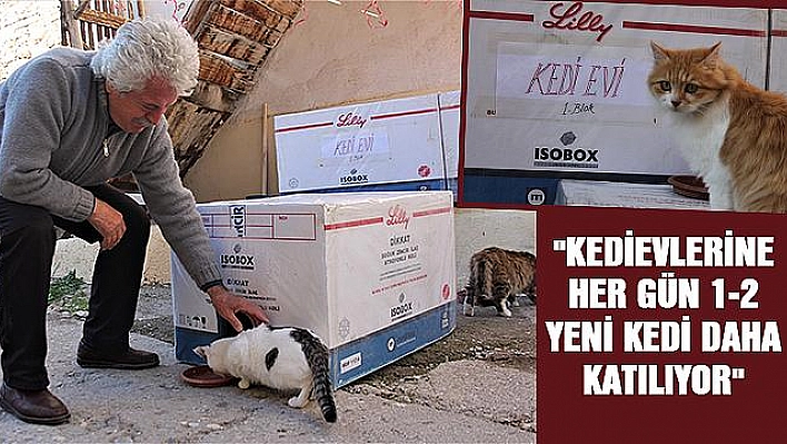 KÖYLÜLERDEN ÖRNEK DAVRANIŞ 'KEDİLER İÇİN EV'