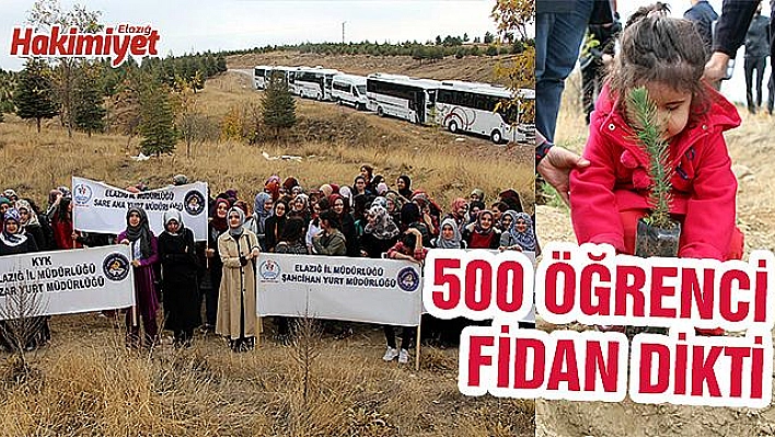 Üniversite öğrencileri fidan dikti