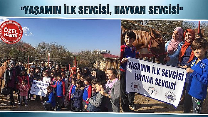 Üniversiteliler Hayvan Sevgisine Dikkat Çekti