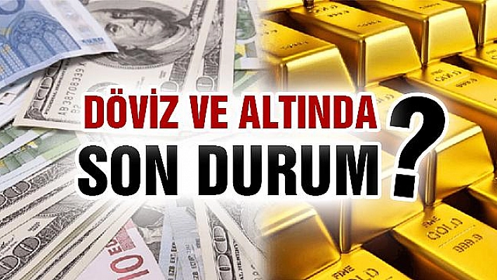 Altında yükseliş devam ediyor