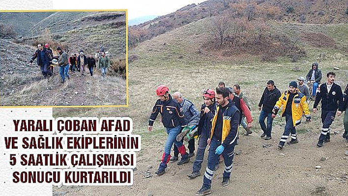 DOMUZ SALDIRISINA UĞRAYAN ÇOBANI EKİPLER KURTARDI