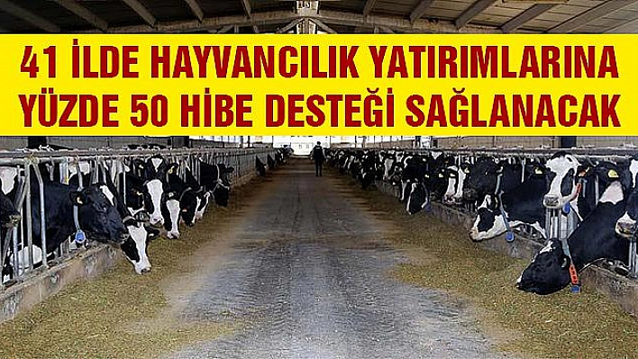 Hayvancılıkta 41 ile hibe desteği